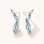 The Aquamarine Climbers