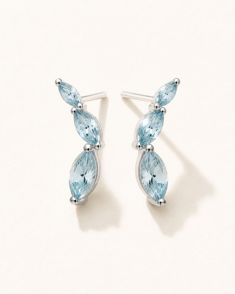 The Aquamarine Climbers