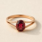 The Garnet Cocktail